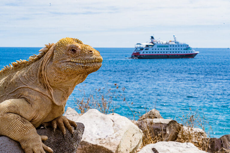 HX Launches Biggest Ever FAM Competition to Galapagos Islands